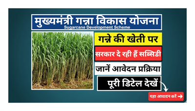 Bihar Sugarcane Development Scheme 2026
